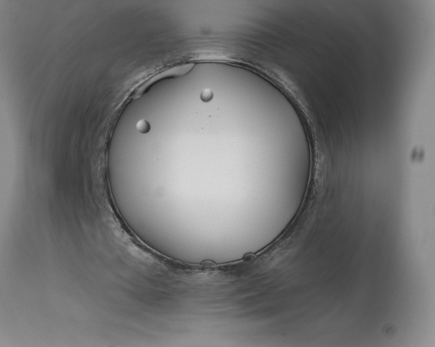 X0000113120385200909111145