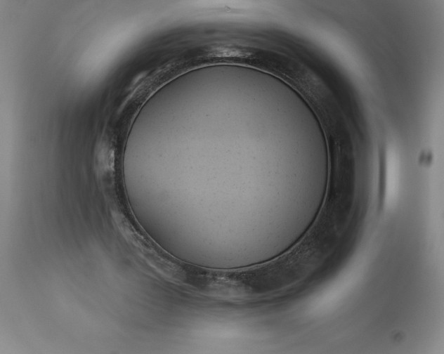 X0000113120387200909111145