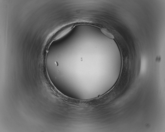 X0000113120388200909111145