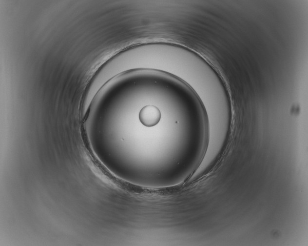 X0000113120389200909111145