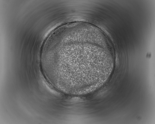 X0000113120390200909111145