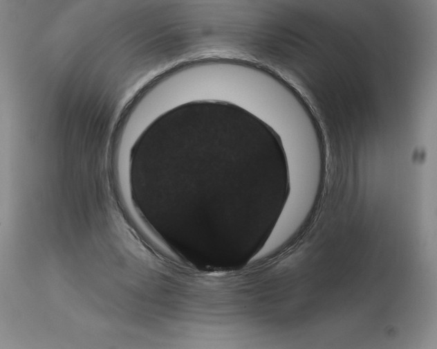 X0000113120391200909111145