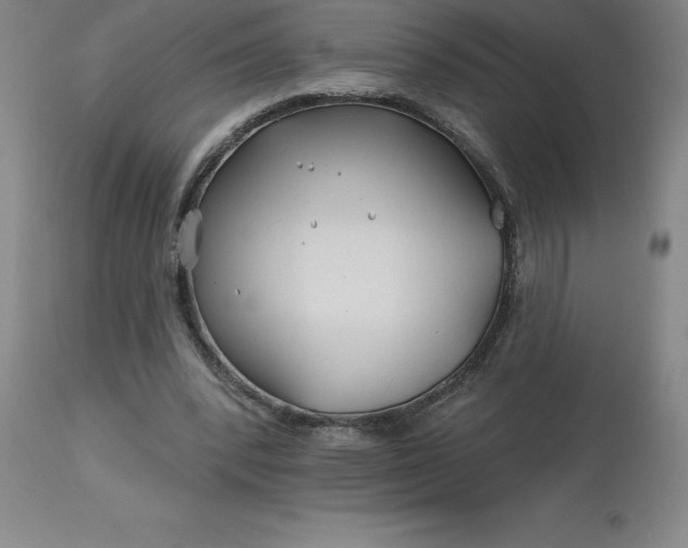 X0000113120392200909111145