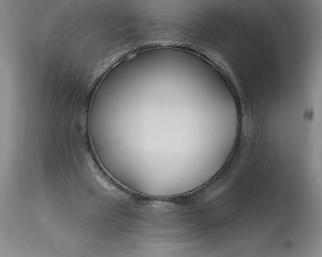 X0000113120393200909111145