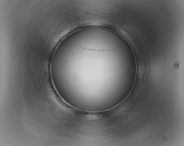 X0000113120394200909111145