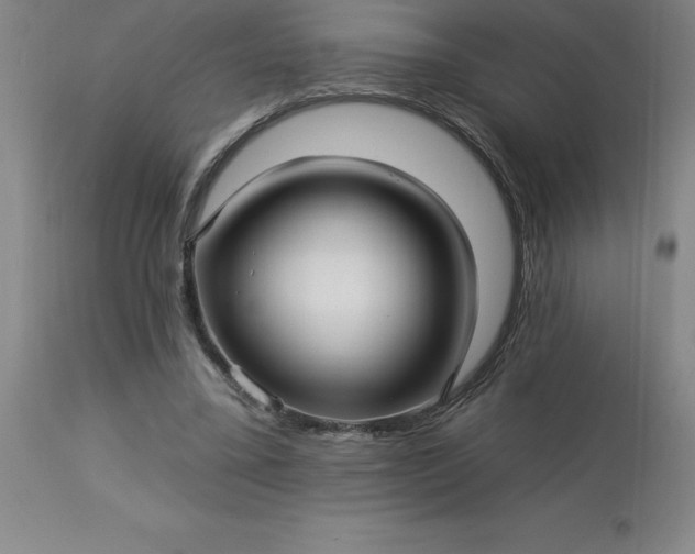 X0000113120395200909111145