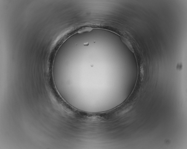 X0000113120396200909111145