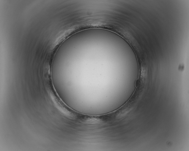 X0000113120397200909111145