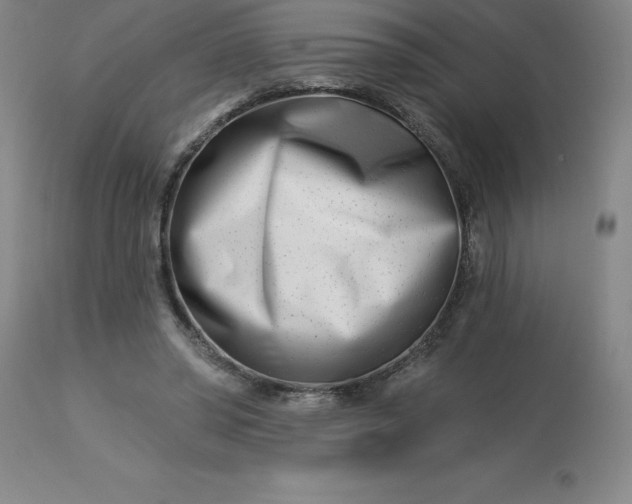 X0000113120398200909111145