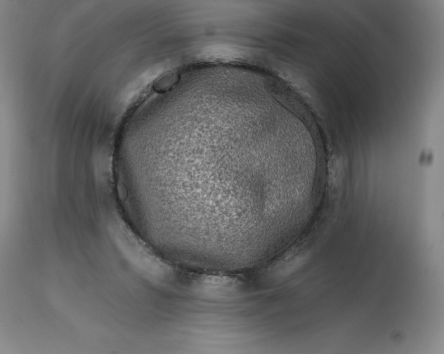 X0000113120399200909111145