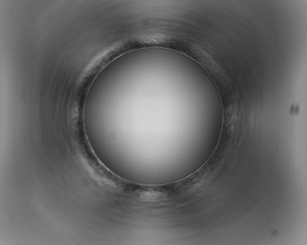 X0000113120400200909111145