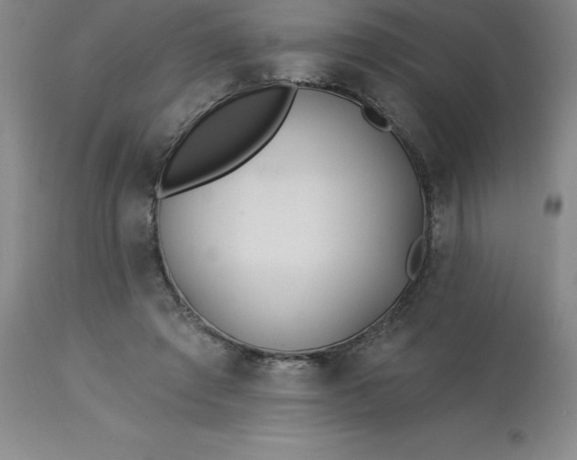 X0000113120401200909111145