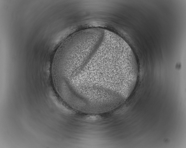 X0000113120402200909111145