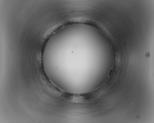 X0000113120403200909111145