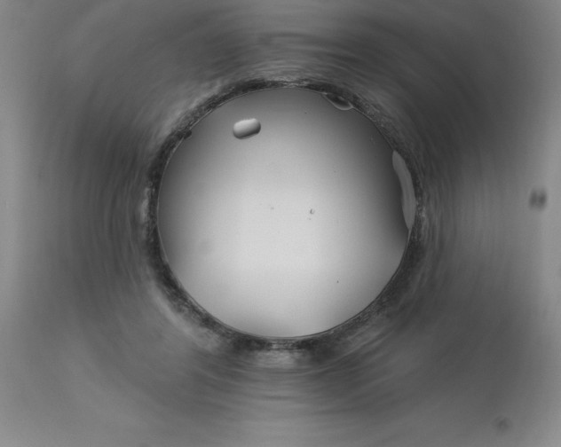 X0000113120404200909111145