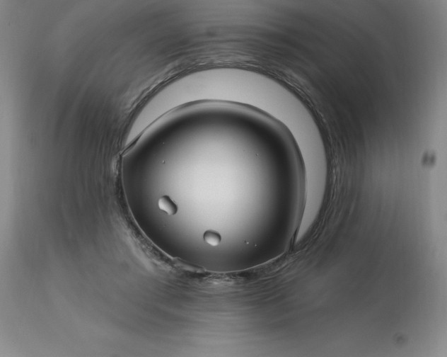 X0000113120405200909111145