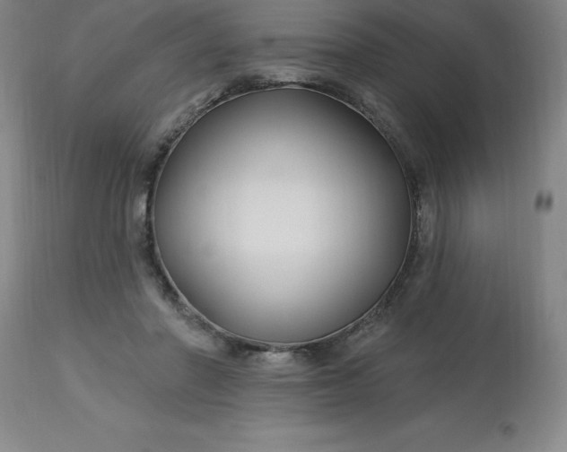 X0000113120406200909111145