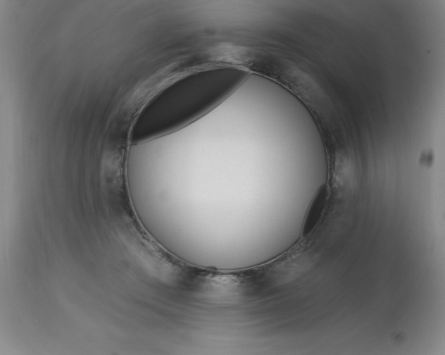 X0000113120409200909111145