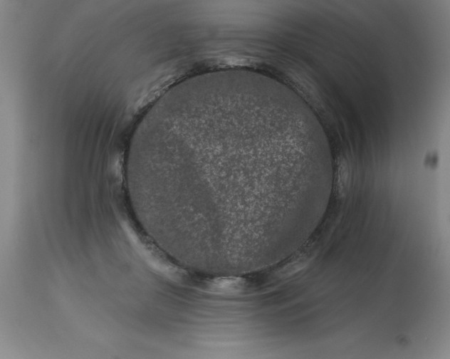 X0000113120410200909111145