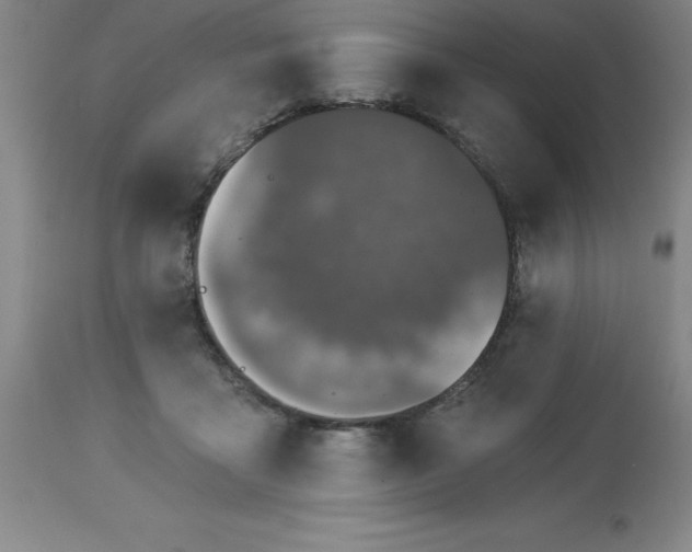 X0000113120411200909111145