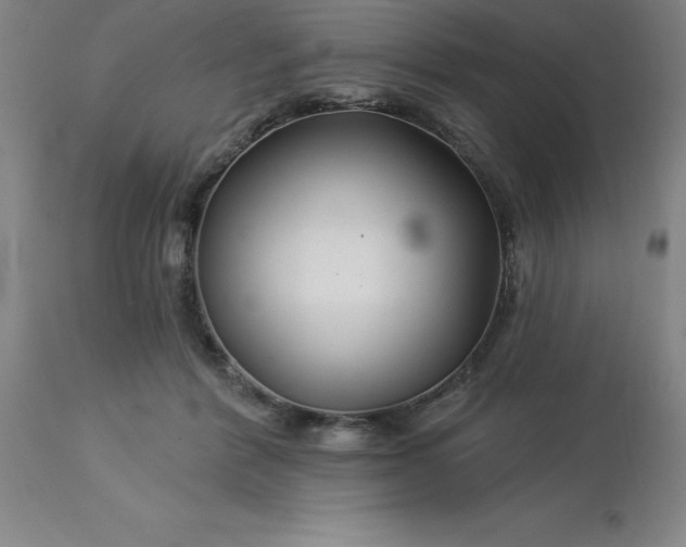 X0000113120412200909111145