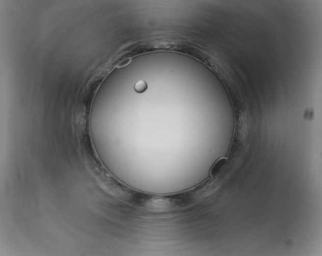 X0000113120413200909111144