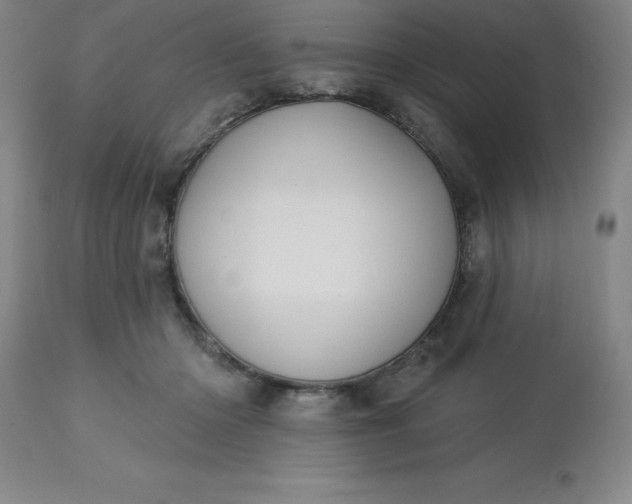 X0000113120414200909111144