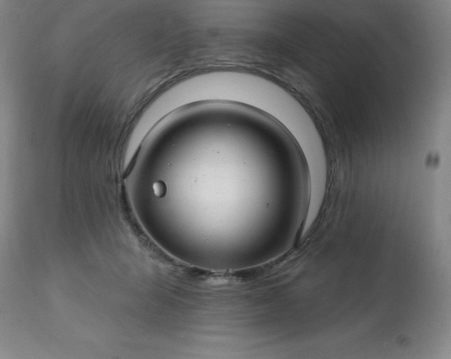 X0000113120415200909111144