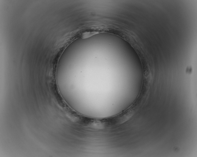 X0000113120416200909111144