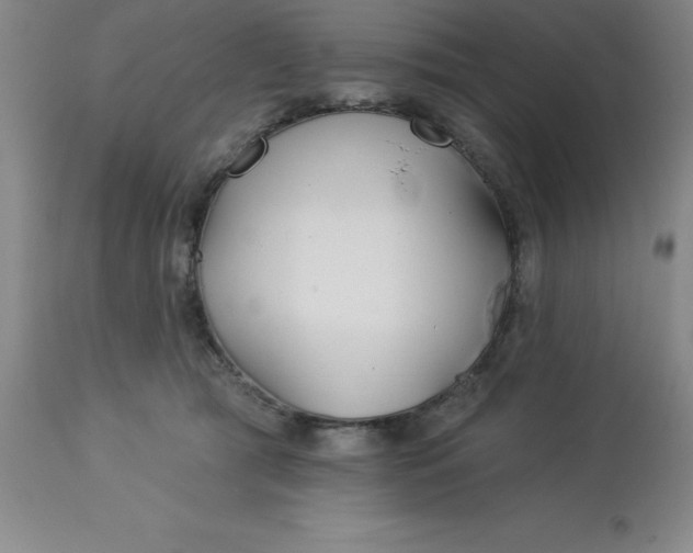 X0000113120417200909111144