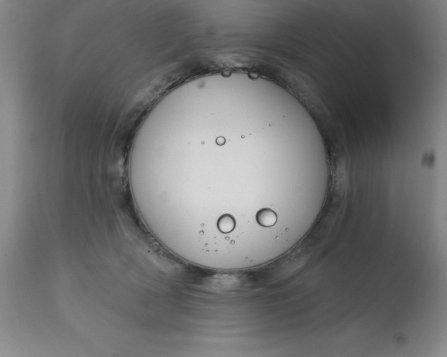 X0000113120418200909111144