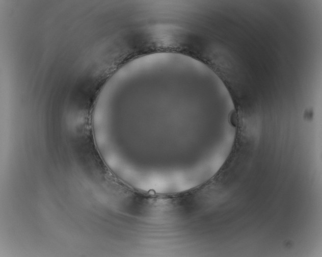 X0000113120419200909111144