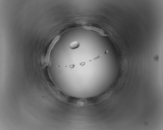 X0000113120420200909111144