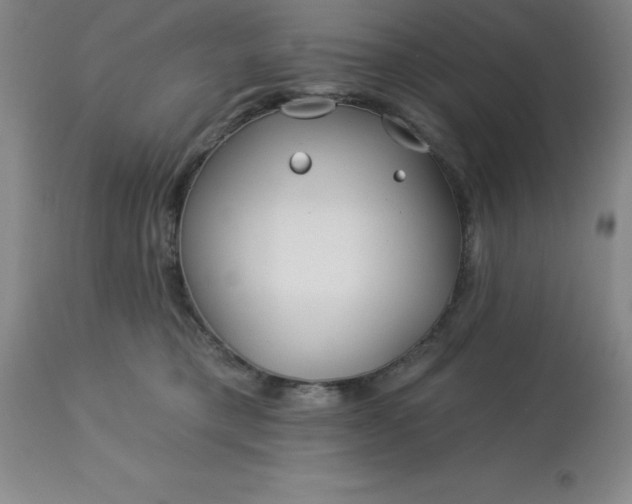 X0000113120421200909111144