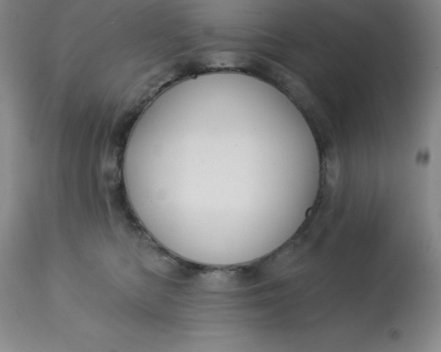 X0000113120422200909111144