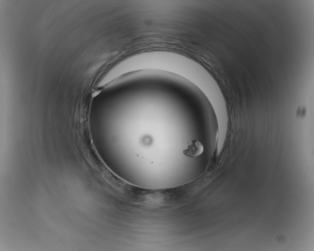 X0000113120423200909111144