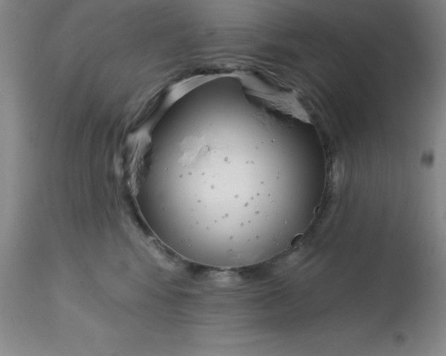 X0000113120424200909111144