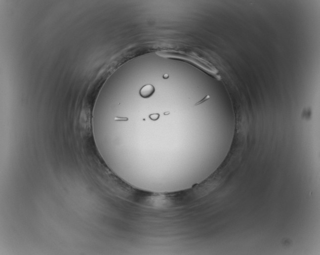 X0000113120425200909111144