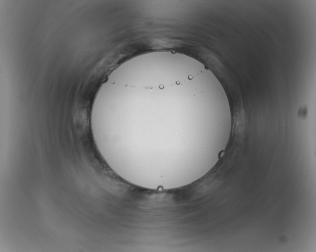 X0000113120426200909111144