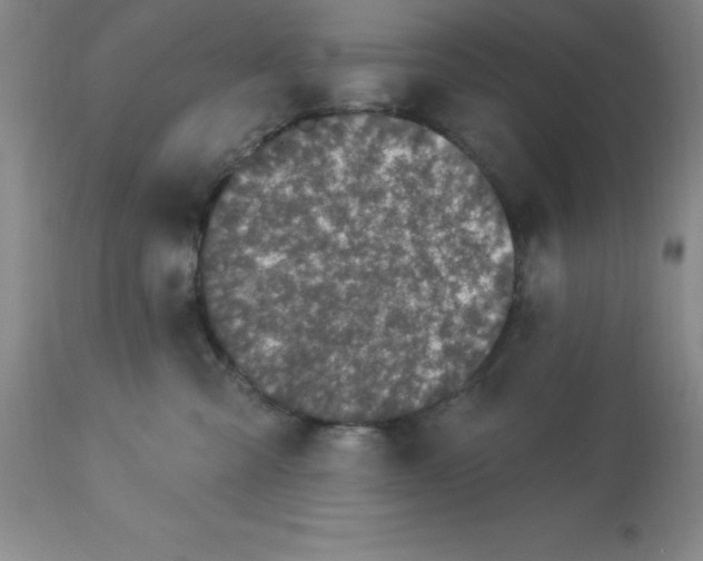 X0000113120427200909111144