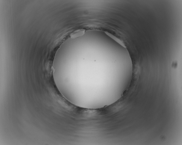 X0000113120428200909111144