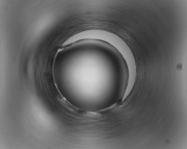 X0000113120429200909111144