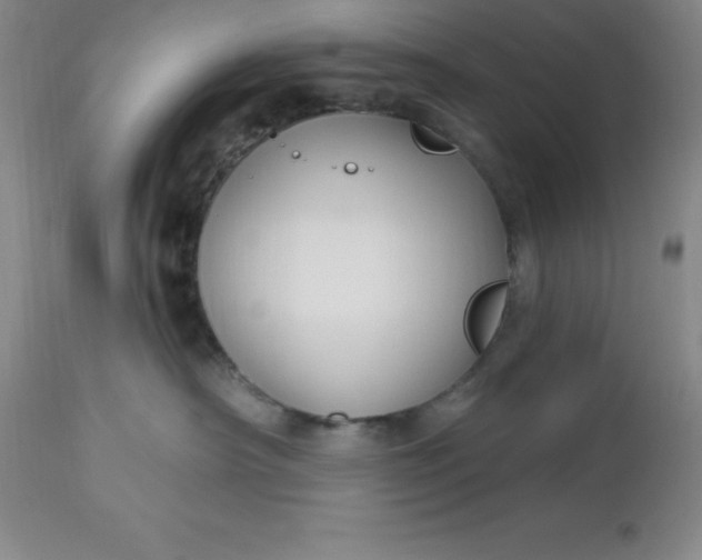 X0000113120430200909111144