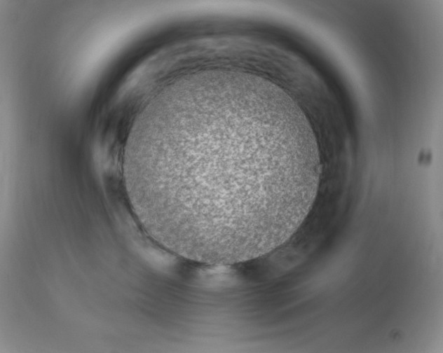 X0000113120431200909111144