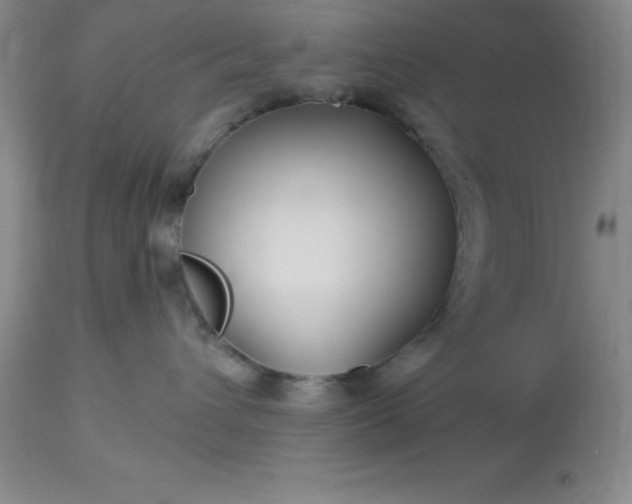 X0000113120432200909111144