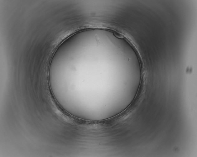 X0000113120433200909111144