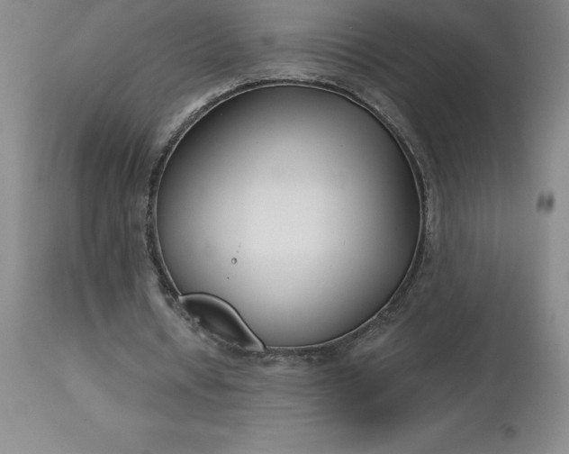 X0000113120434200909111144