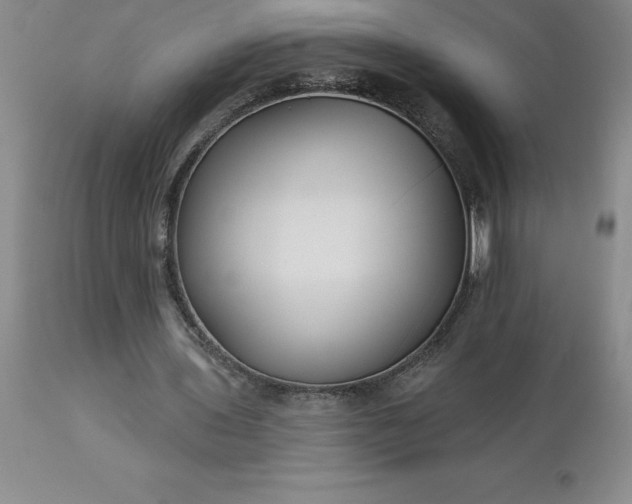 X0000113120435200909111144