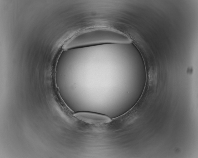 X0000113120436200909111144