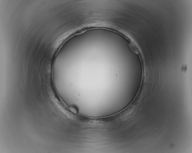 X0000113120437200909111144